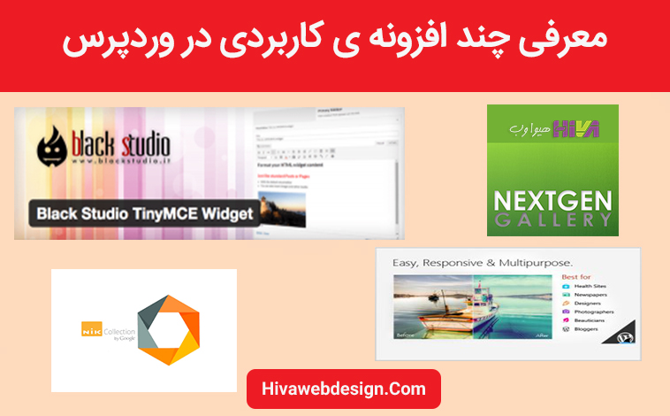 افزونه وردپرس